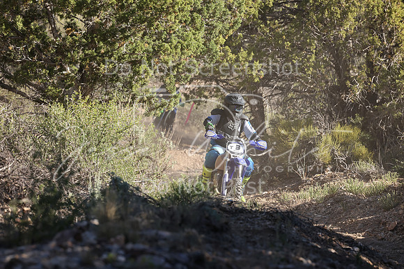 IMG_3286-t3