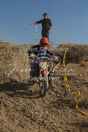 IMG_0357-375y
