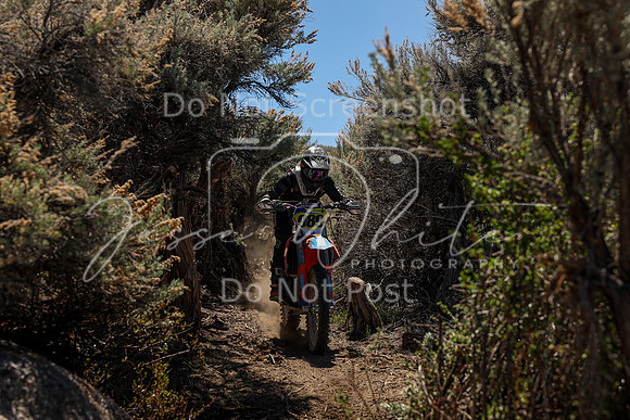 IMG_0450-989v