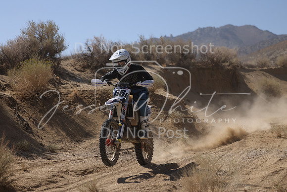 IMG_7246-66j