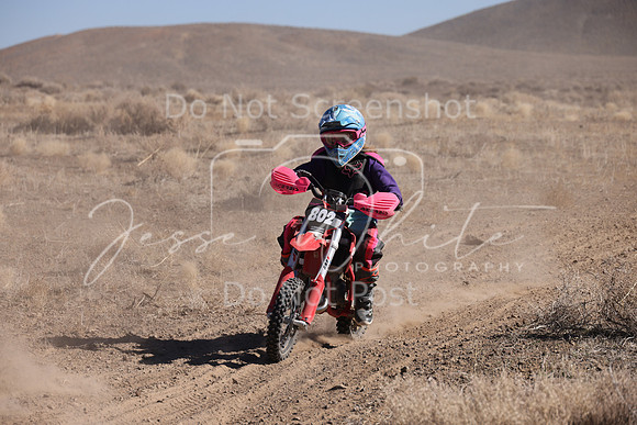 IMG_8009-802