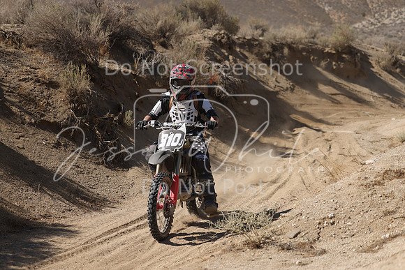 IMG_7048-310j