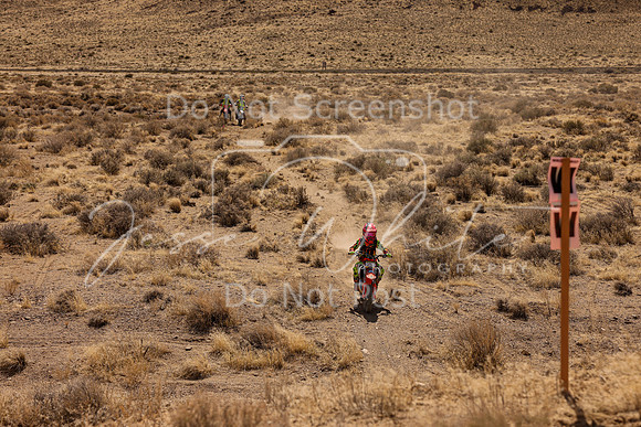 IMG_1481-25v