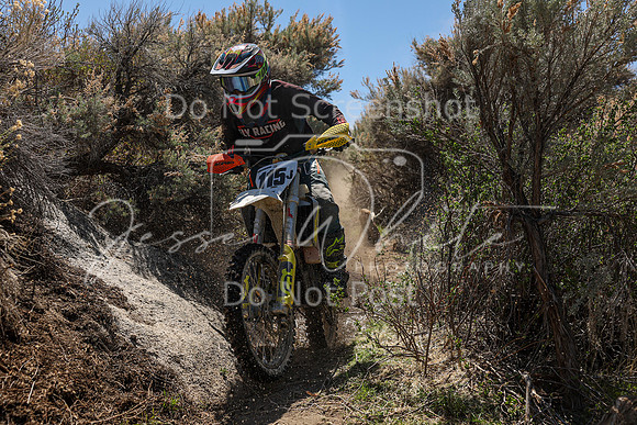 IMG_0186-115j