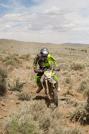 IMG_4890-224x