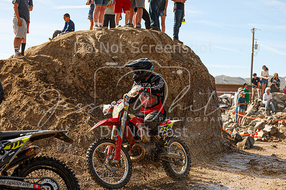 IMG_2739-553x