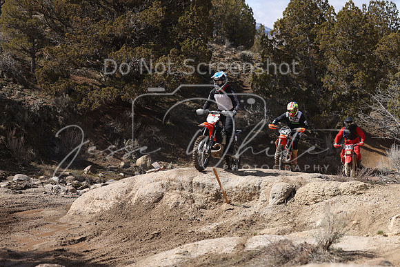 IMG_9408-n194v-n2v