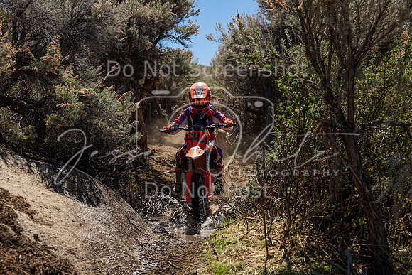 IMG_0566-94j
