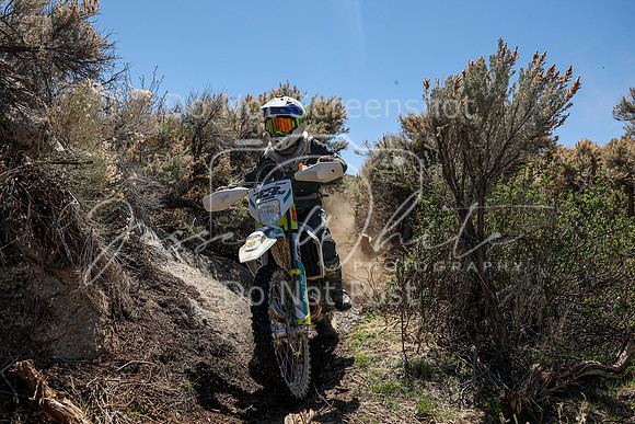 IMG_0331-13v