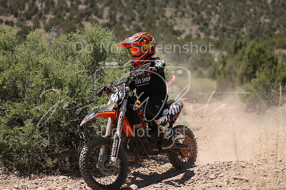 IMG_4085-241y