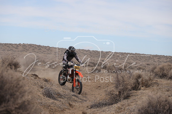 IMG_1245-553x