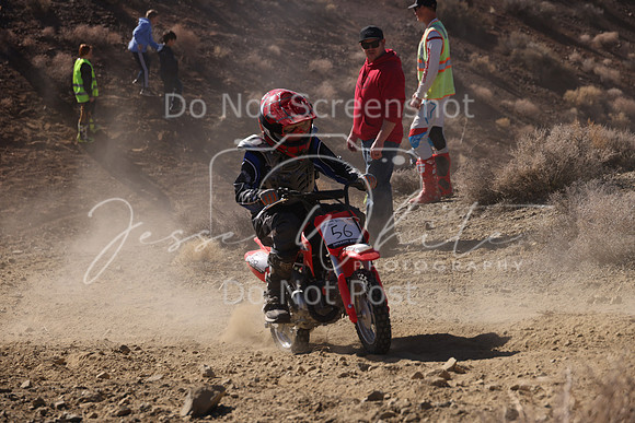 IMG_7653-56
