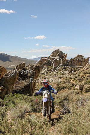 IMG_9223-474x