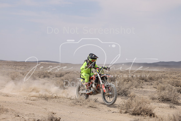 IMG_9911-88j