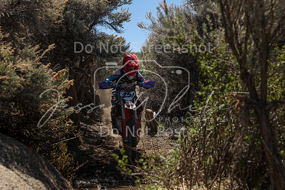 IMG_0191-25j