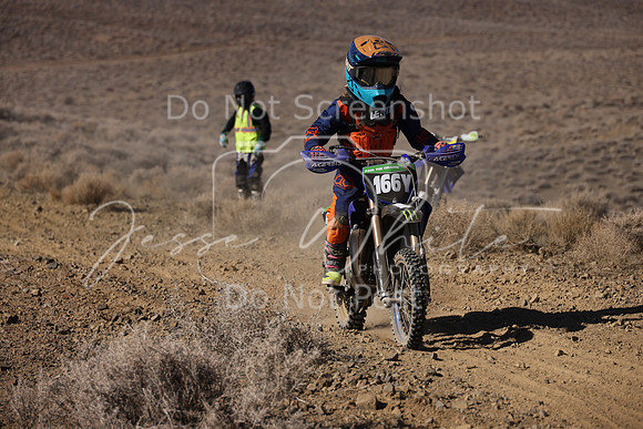 IMG_7549-166y