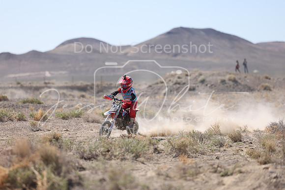 IMG_2181-104z