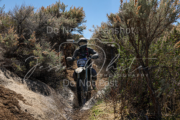 IMG_0576-55v