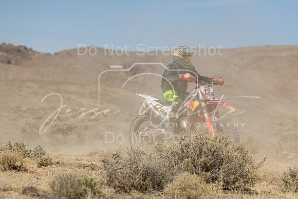 IMG_8259-12a