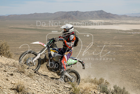IMG_3797-n304m