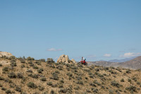 IMG_1006-9