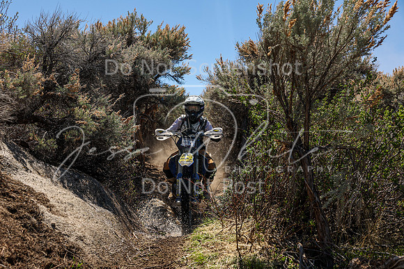IMG_0310-44v