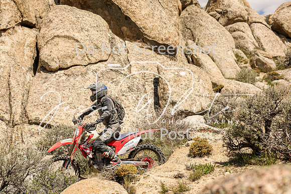 IMG_9210-15n
