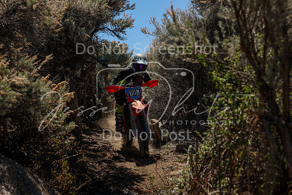 IMG_0359-191v