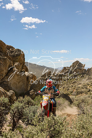 IMG_9196-71p