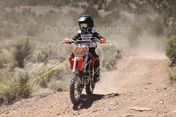IMG_4079-801y