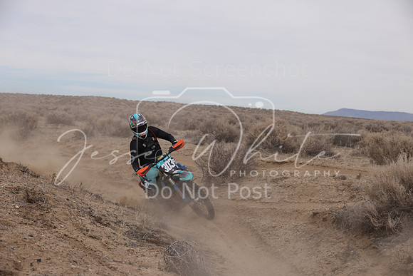 IMG_0783-303n