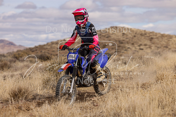 IMG_0496-89a