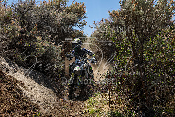 IMG_0255-8j