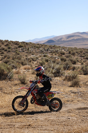 IMG_0553-n1
