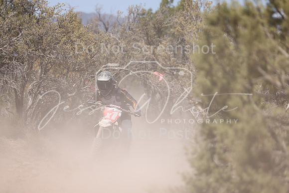 IMG_8190-x1