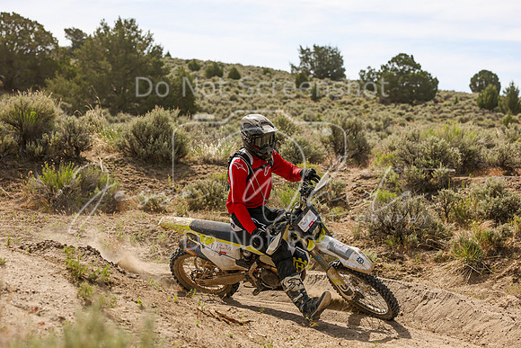 IMG_2954-127n
