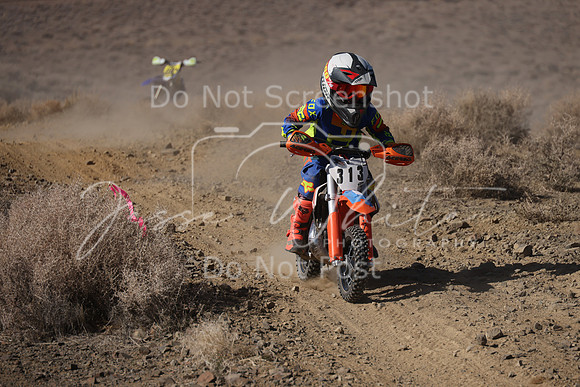 IMG_7516-313