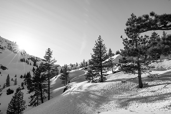 IMG_7725
