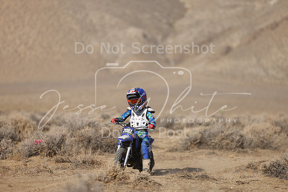 IMG_6335-208z