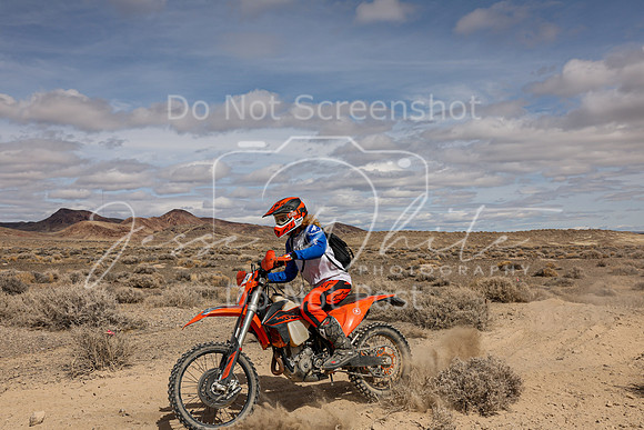 IMG_2110-75a