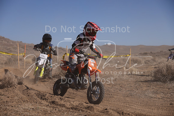 IMG_8041-555-171z