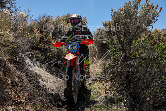 IMG_0364-191v