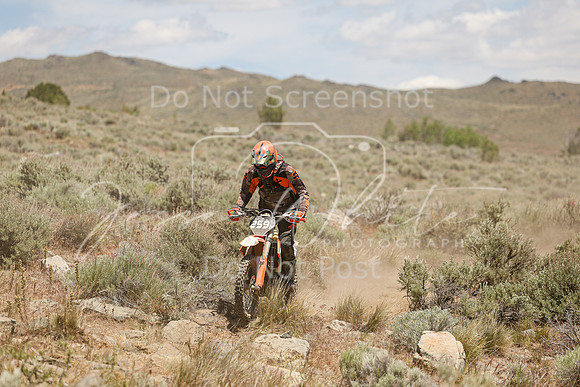 IMG_4384-259n