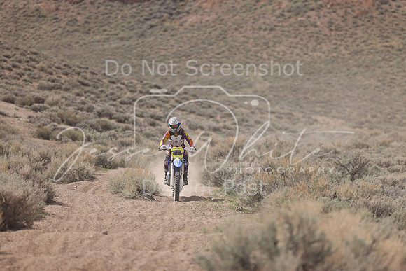 IMG_6452-723v