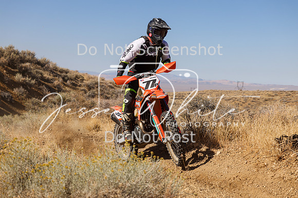 IMG_9501-77p