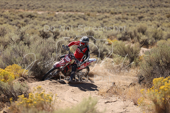 IMG_1397-311v