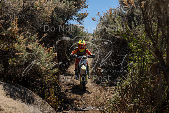 IMG_0625-379j
