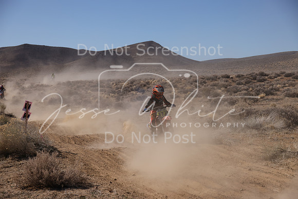 IMG_8678-117y