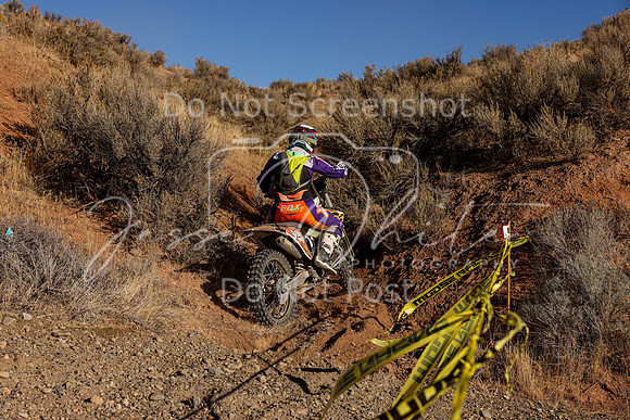 IMG_2795-420w