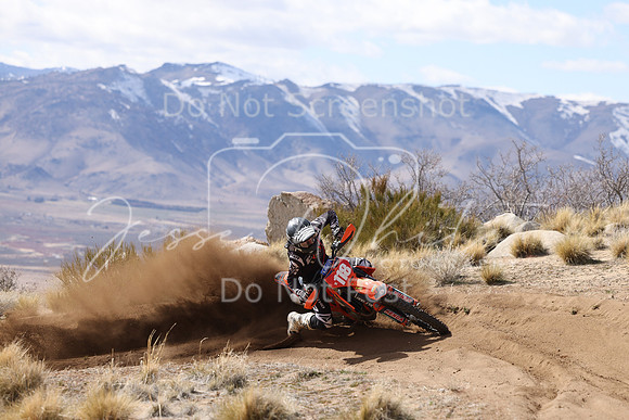 IMG_1596-x118